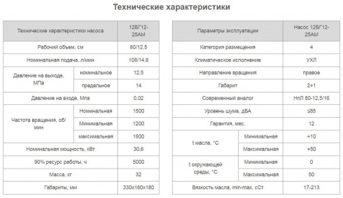 Насос 12БГ12-25АМ