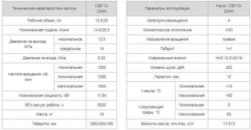 Насос 12БГ12-23АМ
