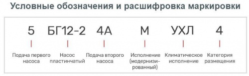 Насос 5БГ12-24АМ